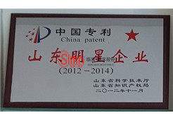 中國專利山東明星企業